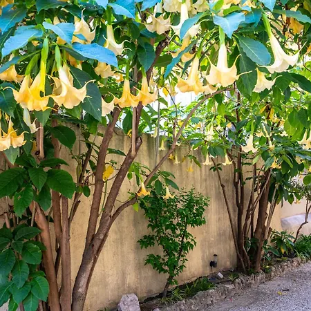 Atypique Coeur De -ac- Διαμέρισμα